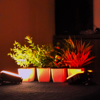 LED Pocket RGB Video Light